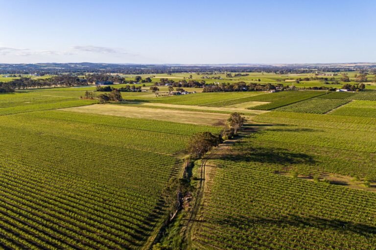 aerial videography adelaide — Barossa winery